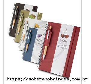 caderno de anotaes